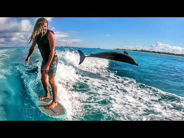 Surfing With Dolphins and Swimming with Whales in Turks and Caicos!