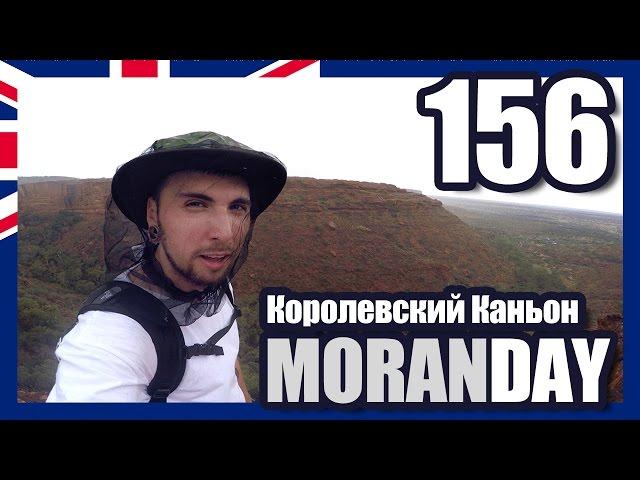 Moran Day 156 - Королевский Каньон