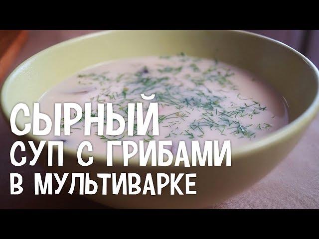 Сырный суп с грибами в мультиварке. Рецепт сырного супа в мультиварке