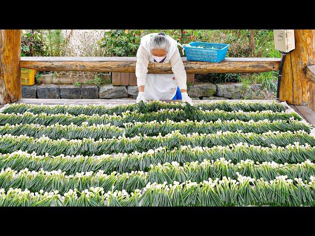 Beautiful Grandma Cooking! Dishes prepared on a large iron plate, the only one in the world