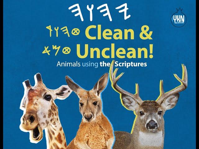 Clean & Unclean Animals - U'Yaqara (Leviticus) 11