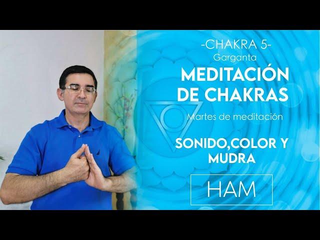 Meditacion para equilibrar la ENERGIA en tus chakras - Chakra de la GARGANTA -