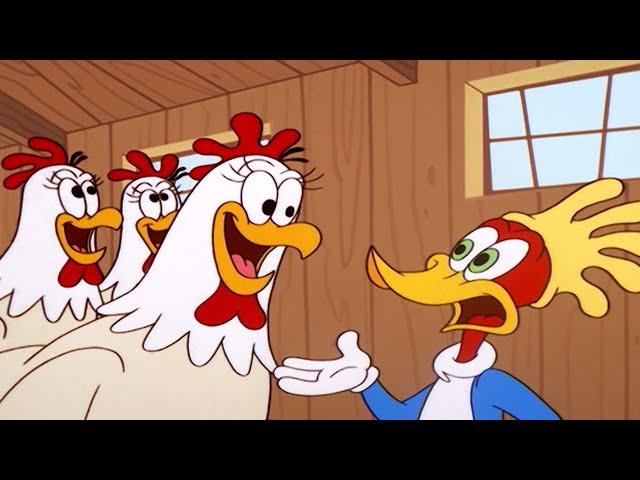 El Pájaro Loco | Gallina carpintera | Episodio Completo