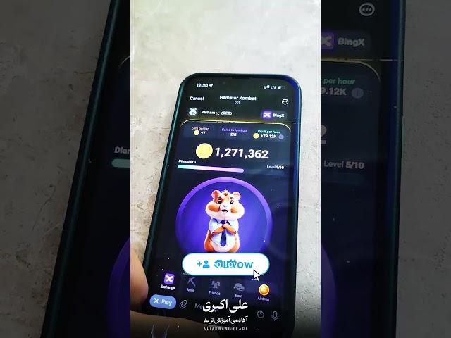 600 میلیون سکه رایگان #همستر کامبت
