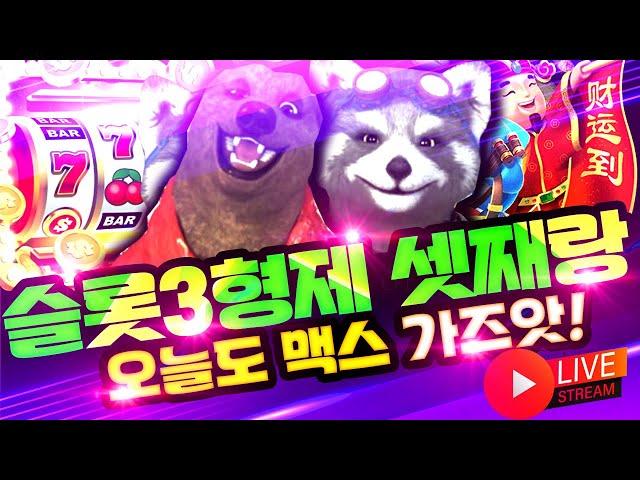 [슬롯 실시간] 슬롯3형제와 함께하는 슬롯 부시기! 잭팟가즈아~ #슬롯머신 #슬롯 #프라그마틱 #잭팟 #slot #pragmatic