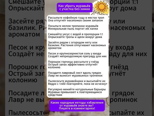Как убрать муравьёв с участка без химии #лайфхаки #сад