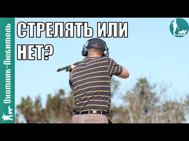 Стоит ли стрелять на дальние дистанции? Охотник-Любитель
