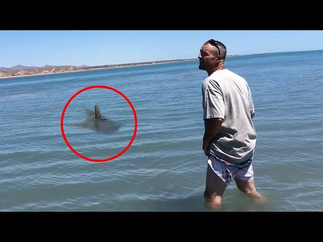 30 Scariest Animal Encounters of The Year (Part 4)