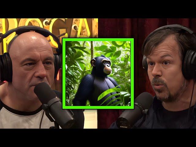 JRE: Inside the World of Wild Chimps: A Filmmaker's Journey