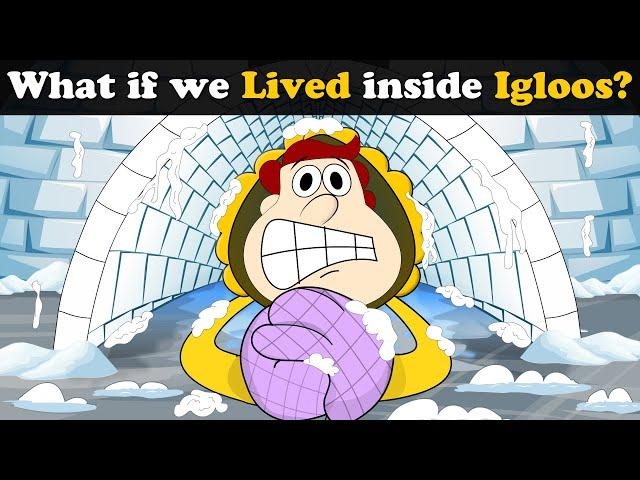 What if we Lived inside Igloos? + more videos | #aumsum #kids #science #education #whatif