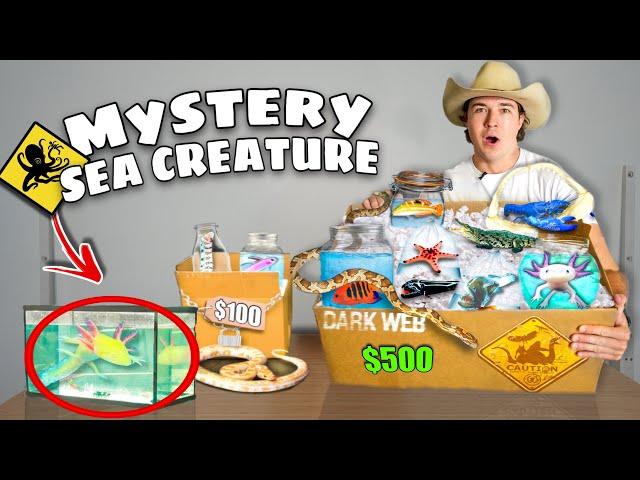 $100 vs $500 SEA CREATURE Mystery FISH Box For My SALTWATER PONDS and AQUARIUMS! (shopping spree)