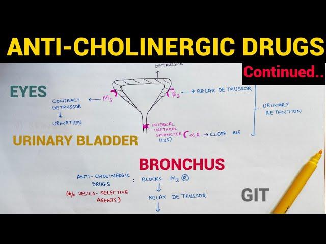 Autonomic Pharmacology - 9 | Anti-Cholinergic Drugs Continued | EOMS