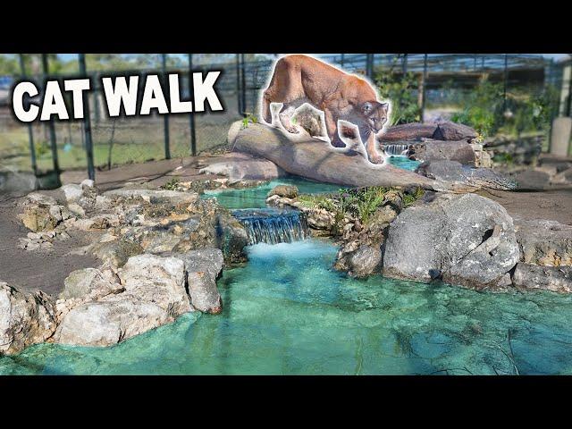 We Built A Pond For A Rescued Predator!