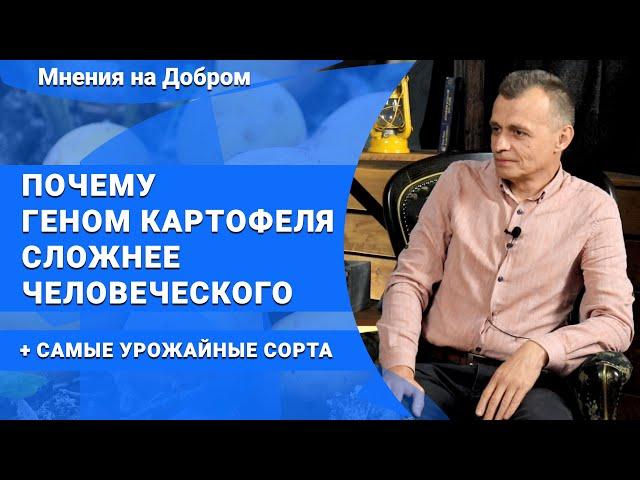 Белорусский картофель на Марсе? Всё о картофеле: геном, селекция, лучшие сорта | Мнения на Добром