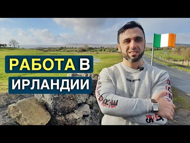 РАБОТА В ИРЛАНДИИ. Отзыв о работе с Nikoloz-Job.