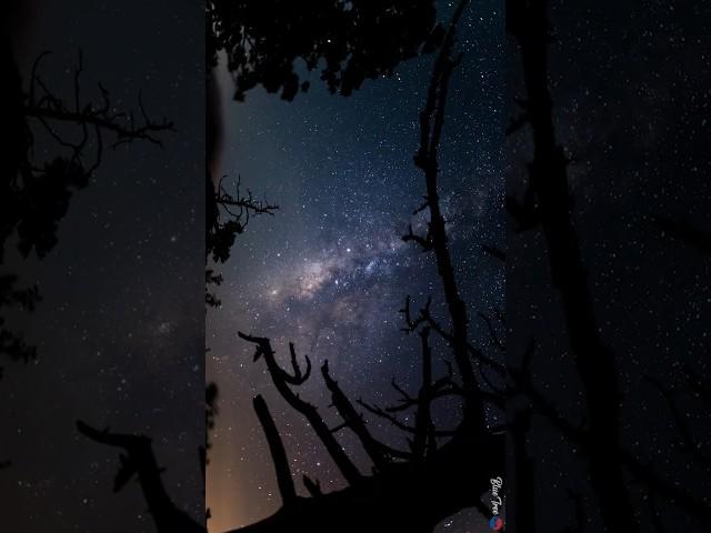 Milky Way of Korea-1