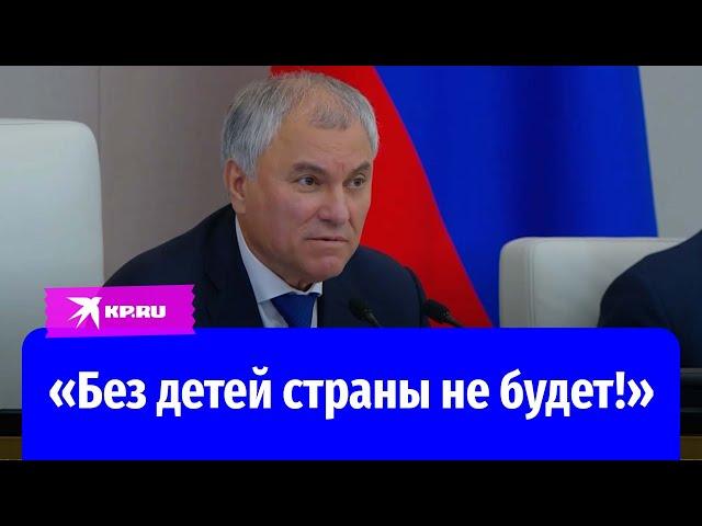 Володин объяснил важность закона о запрете пропаганды чайлдфри