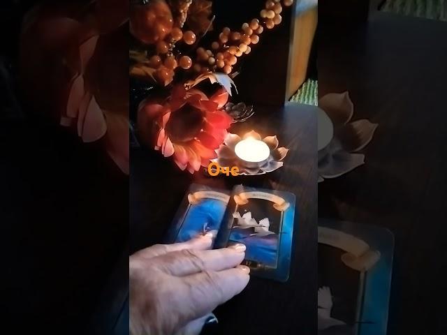 Предупреждение от ВС #татьяна #гадание #будущее #tarot #таролог #Эмпат