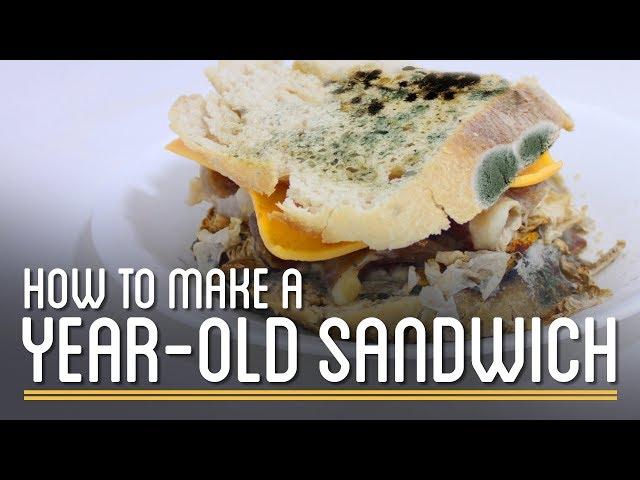 How to Make a Year-Old Edible Sandwich