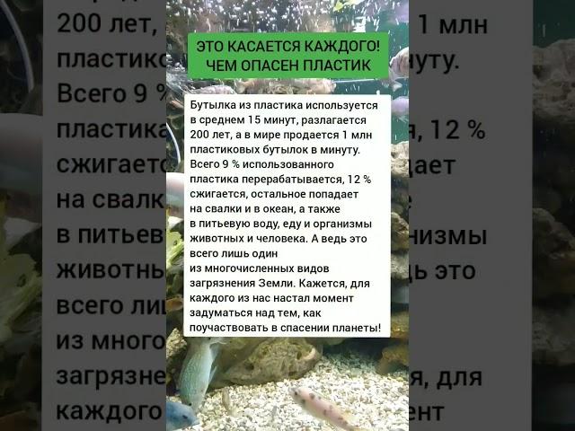 ПОМОГИ СОХРАНИТЬ ПЛАНЕТУ. ПОДПИШИСЬ! #природа #россия #экология #будущее #катастрофы #новости #жизнь