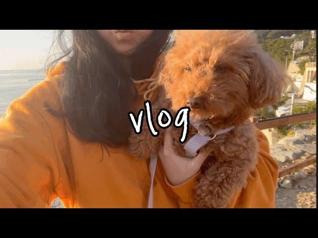 [VLOG] 이리저리 돌아다니는 일상븨로그🫣 feat.만두