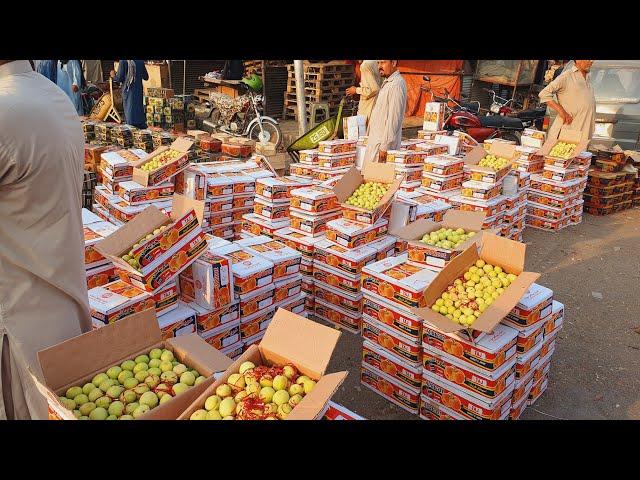 Balochistan Special Quality Apricot | Swat fresh peach | Waziristan Premium Quality Plum |