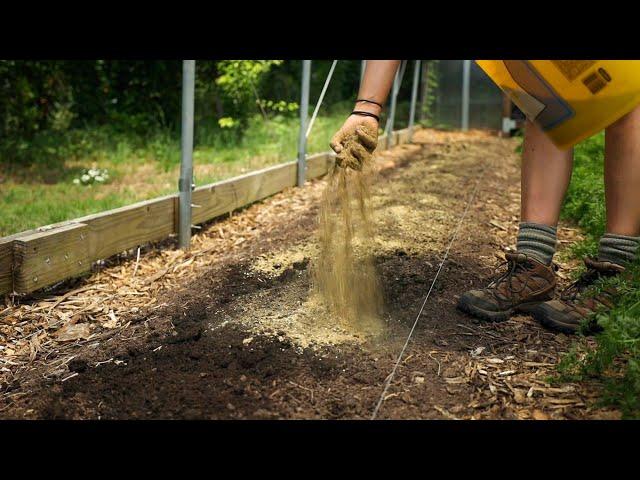 Preparing Beds on a No-Till Farm