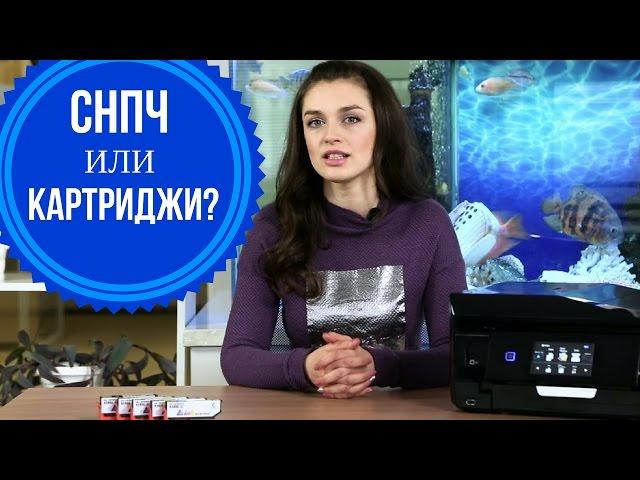 Что лучше: СНПЧ или картриджи?