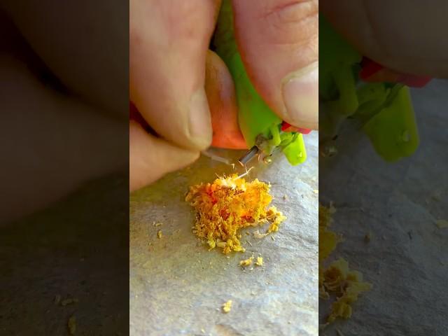 Survival Skills: Fire From a Broken Lighter in Extreme Conditions #survival #camping #lifehacks