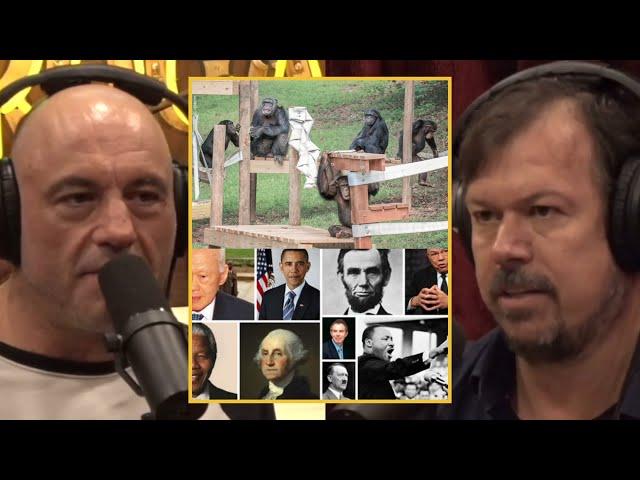 JRE: How Chimpanzees Choose Their LEADERS!