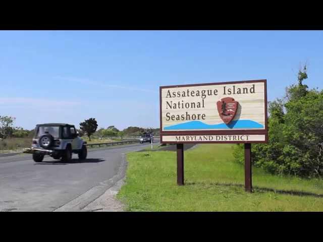 Assateague Island National Seashore Oversand Vehicle Zone