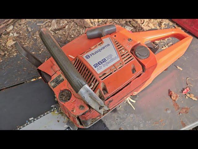 Afternoon With A Husqvarna 262xp & Impressions
