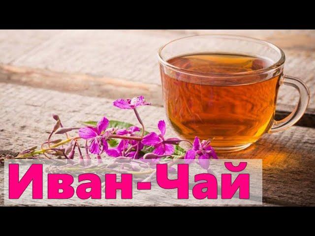 ИВАН ЧАЙ | Зачем пить иван чай каждый день и как правильно заваривать чай из трав