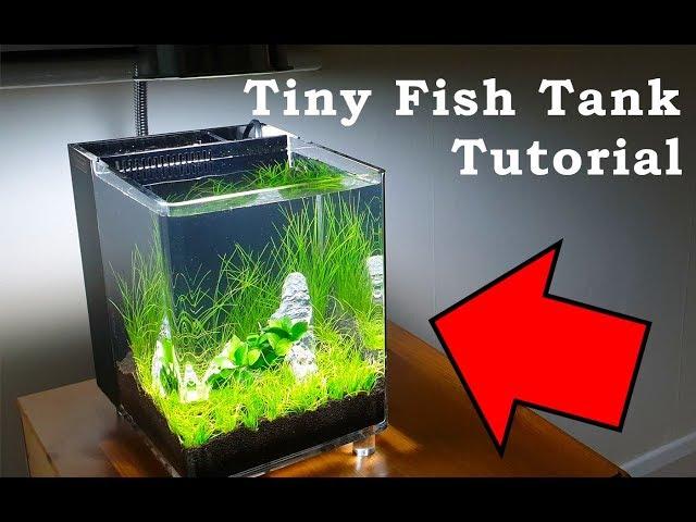 Tiny Fish Tank Tutorial | Low Budget Aquarium Build