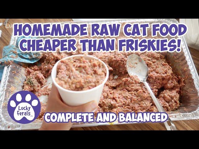 Homemade Raw Cat Food Recipe That's Cheaper Than Friskies! S6 E3 Complete Balanced Raw Cat Food