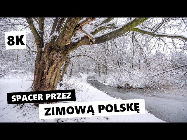 Magiczny zimowy spacer po całej Polsce [8K]