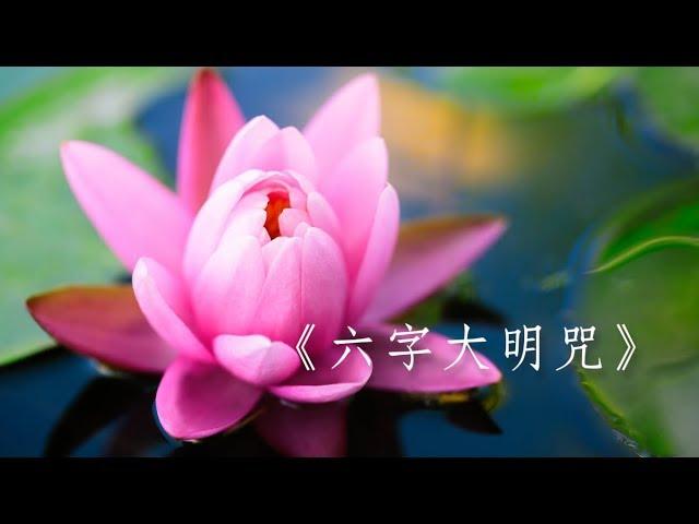 《六字大明咒108遍》Six-Character Great Bright Mantra (108 times)｜佛曲｜雨揚老師