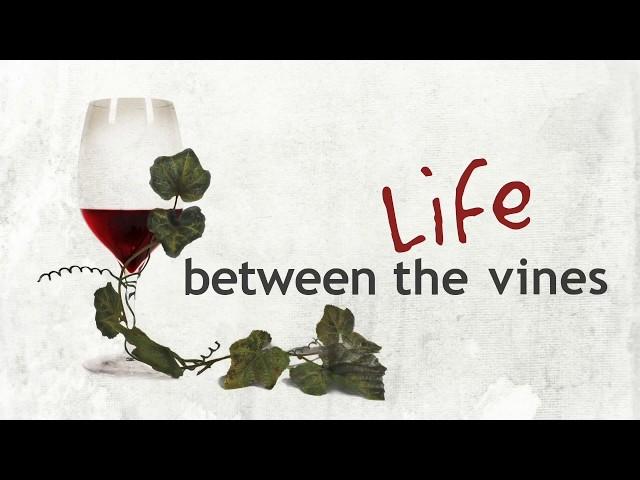 Life Between the Vines Promo 2018