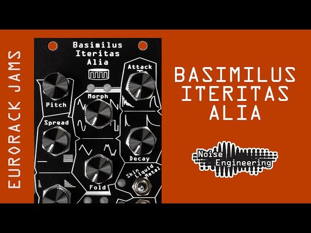 Basimilus Iteritas Alia jam with tons of CV modulation and muting