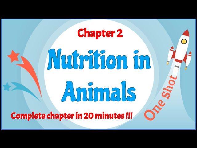 Class 7 Chapter 2 Nutrition in Animals OneShot - Complete chapter in 20 minutes !!! - LearnFatafat