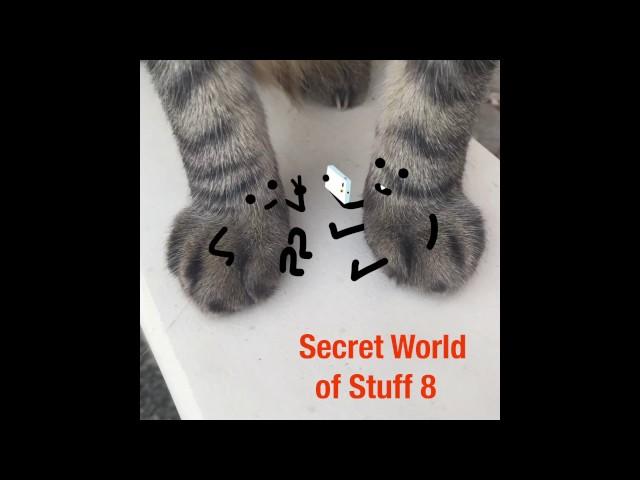 Secret World of Stuff 8