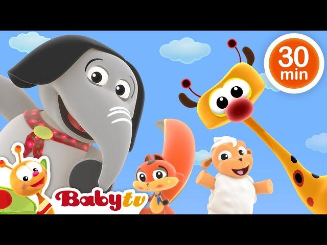 Tombul Yumurta  + Daha Fazla Çocuk Şarkısı ve Tekerlemeler  | ile Dans Partisi @BabyTVTR