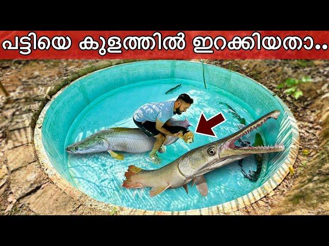 അരപൈമ നമ്മുടെ പട്ടിയെ തിന്നാൻ നോക്കി!! | Gaint Arapaima attacked our Dog