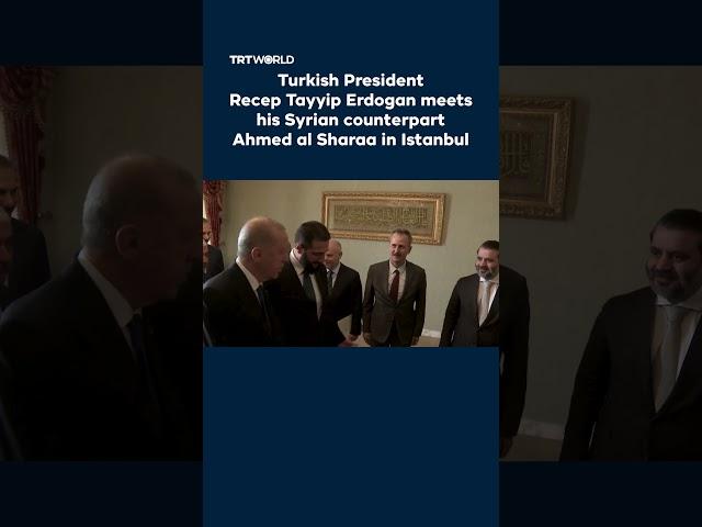 Turkish President meets his Syrian counterpart in Istanbul