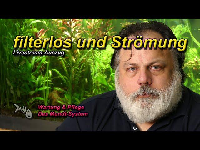 Benötige ich beim filterlosen Aquarium eine Strömungspumpe?