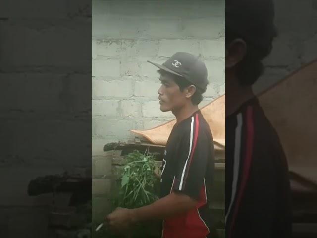 edi penceng mulai gila#Shortvideo#hiburan mata