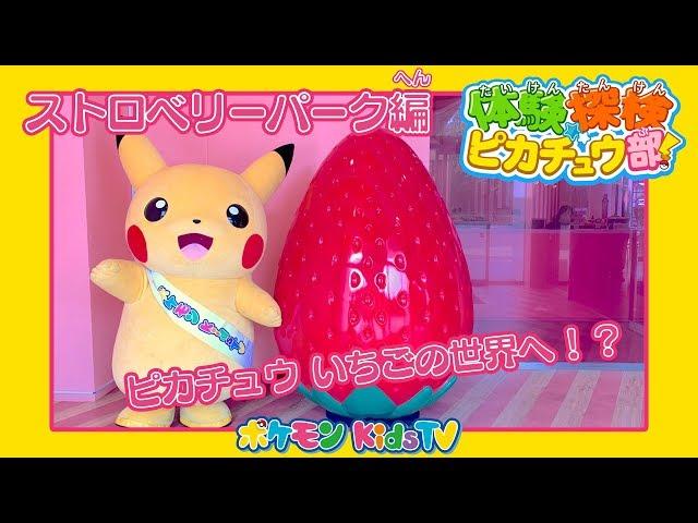 【ポケモン公式】体験探検ピカチュウ部！「ストロベリーのテーマパーク編」－ポケモン Kids TV