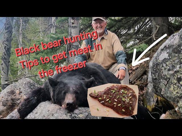 Bear Hunting Tips & Techniques - Everything You Need to Know