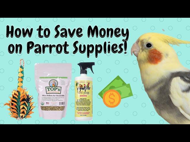 How To Save Money on Parrot Care and Supplies! | Parrot Care Life Hacks | BirdNerdSophie