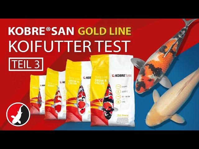 "Kobre®San Gold" Koifutter Test - Teil 3